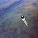 Illustration for article titled Buzz Aldrins amazing view while riding Gemini XII with the hatch open
